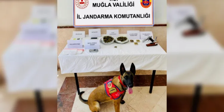 Bodrum’da uyuşturucu ve silah operasyonu