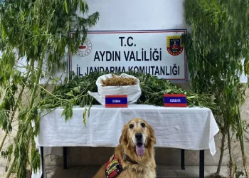 Nazilli’de uyuşturucu operasyonu