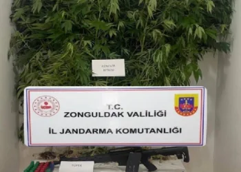 Jandarmadan uyuşturucu operasyonu
