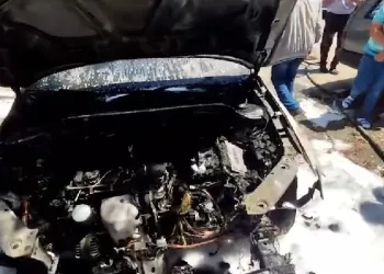 Siirt’te park halindeki araç yandı