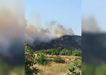 Araçta başladı ormana sıçradı