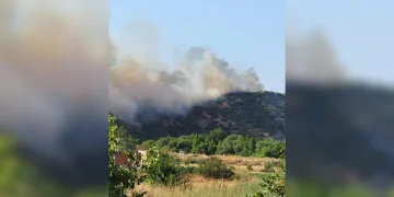Araçta başladı ormana sıçradı