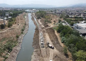 Pirincin başkentinde çevre katliamı