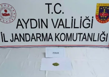 Aydın jandarması uyuşturucuya geçit vermiyor