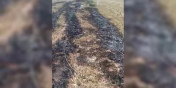 Elektrik telleri tarlada yangın çıkardı
