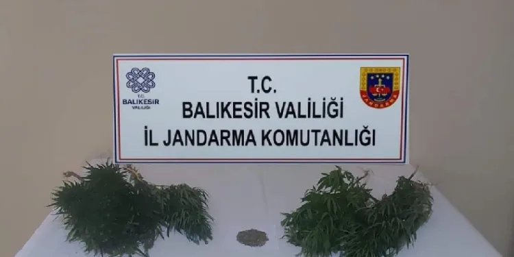 Erdek’te uyuşturucu operasyonları devam ediyor