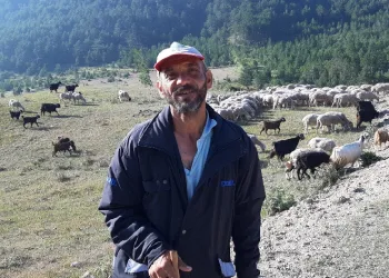 Bartın’dan çobanlık için Bolu’ya geldi