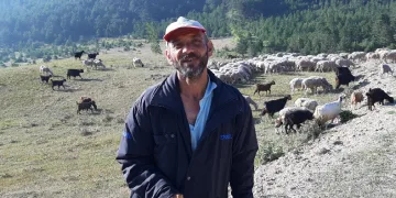 Bartın’dan çobanlık için Bolu’ya geldi