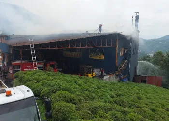 Rize’de çay fabrikasında yangın çıktı