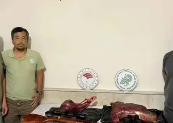 Yaban keçi avına 300 bin TL ceza
