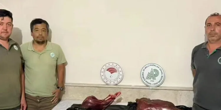 Yaban keçi avına 300 bin TL ceza