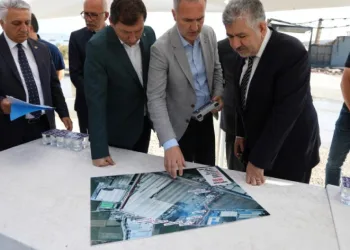 Ölen hayvanı, yol kenarına attılar