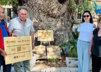 Turizm çeşitliliği artırılıyor