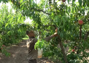 Sanatçı kadınlar göz kamaştırdı
