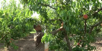 Sanatçı kadınlar göz kamaştırdı