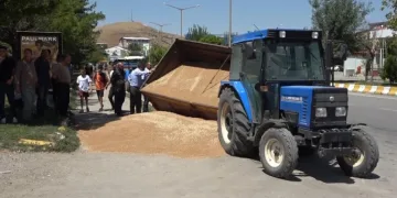 Buğday yüklü römork devrildi
