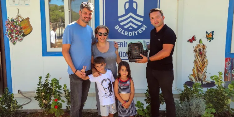 Bodrum’da bir firari maymun