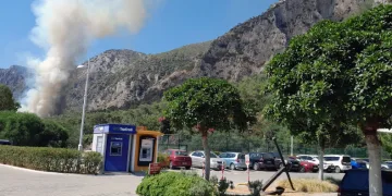 Milas’ta orman yangını