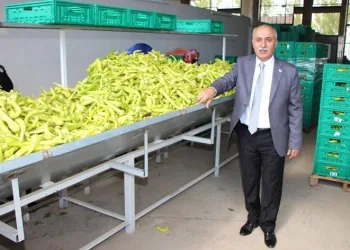 Bu pazarda fiyatı çiftçi belirleyecek