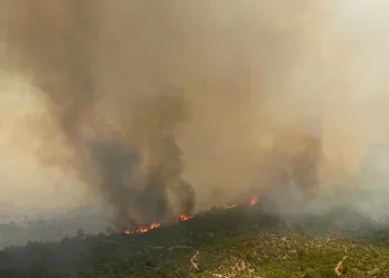 Çanakkale’de orman yangını: 1 köy boşaltıldı