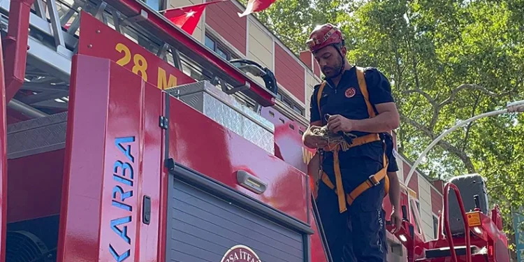 Anıt ağaçta mahsur kalan kuşu itfaiye ekipleri kurtardı