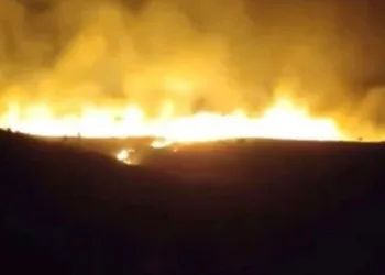 Karacadağ Bal Ormanı’nda yangın