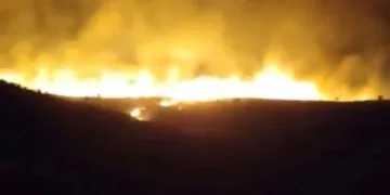 Karacadağ Bal Ormanı’nda yangın