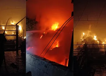 Ahırda çıkan yangında samanlar küle döndü