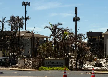 Hawaii’deki acil durum şefinden istifa kararı