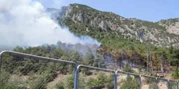 Bilecik’te orman yangını