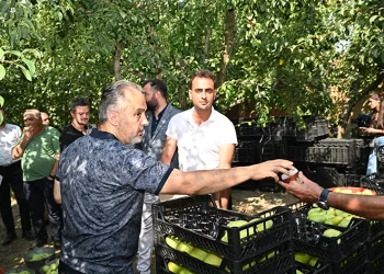 Aktaş, sıcaktan bunalan çiftçilere dondurma ikram etti