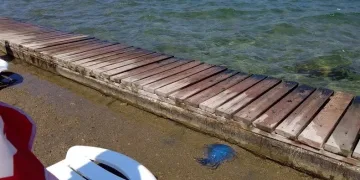 Plajları denizanası vurdu