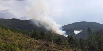 Bolu’da orman yangını