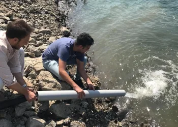 484 bin sazan göl ve göletlere salındı
