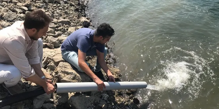 484 bin sazan göl ve göletlere salındı