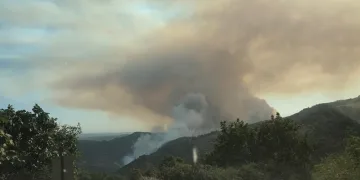 Orman yangının dumanı kenti kapladı