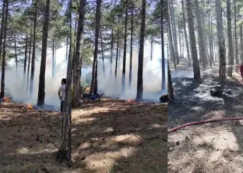 Milli parkta çıkan yangın büyümeden söndürüldü