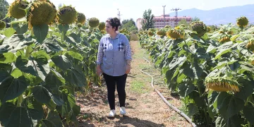 Organamineral gübre ile topraklarımız kurtarılacak