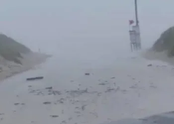 Harold Fırtınası Texas’ta karaya ulaştı