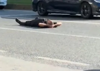 Yüzlerce aracın geçtiği karayoluna böyle uzandı