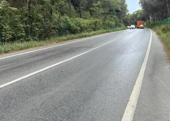 Orman yolunda kalaşnikoflu pusu