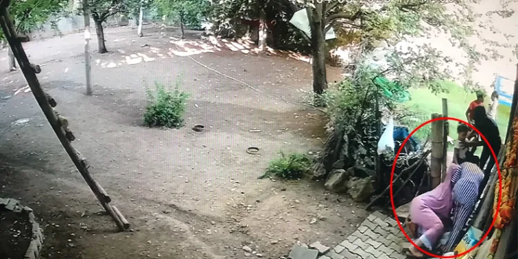 74 yaşındaki kadına saldırdılar