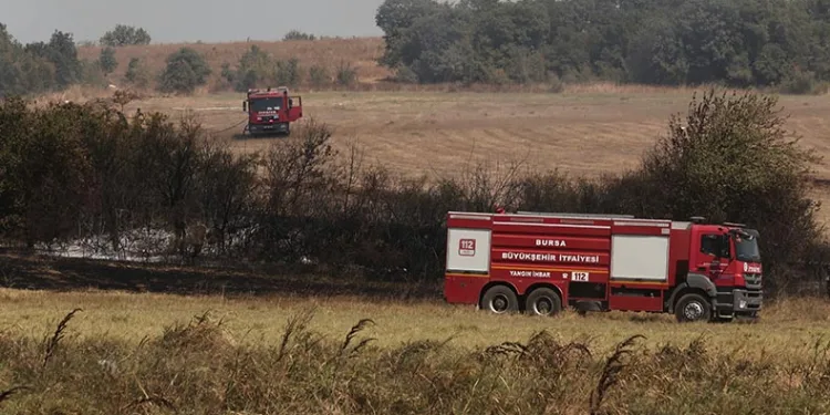 Bursa’da anız şeklinde başlayan yangın ormana sıçradı