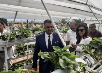 Kırsal kalkınmaya ‘BEBKA’ desteği