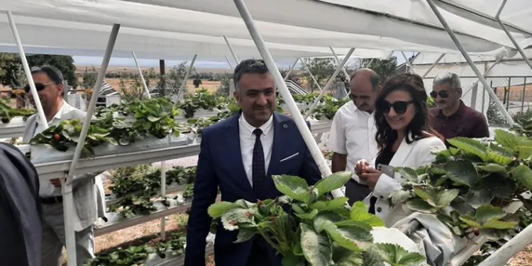 Kırsal kalkınmaya ‘BEBKA’ desteği