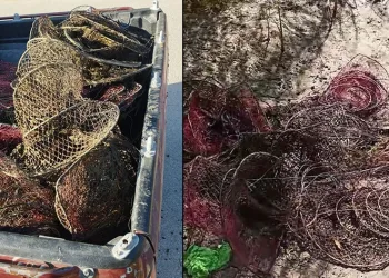 Kullanılması yasak olan ağı çıkardılar