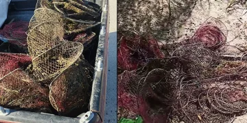 Kullanılması yasak olan ağı çıkardılar