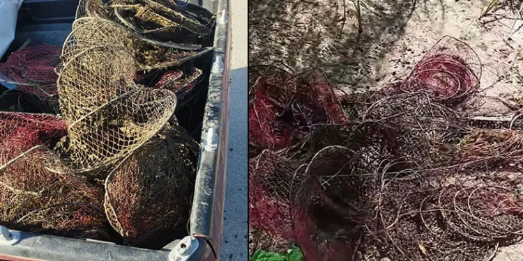 Kullanılması yasak olan ağı çıkardılar
