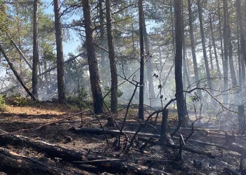 Kütahya’daki orman yangını için Bursa’da da seferberlik