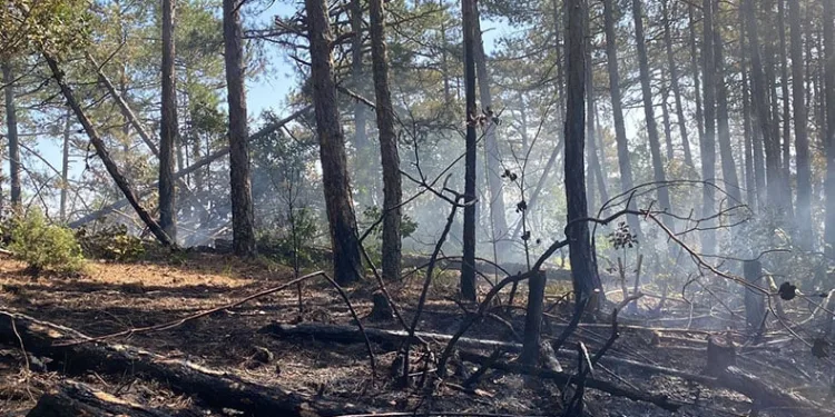 Kütahya’daki orman yangını için Bursa’da da seferberlik